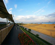 金山天气预报40天