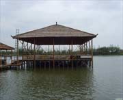 青浦天气预报40天