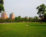 大宁天气预报30天