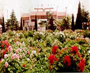 荷泽天气预报7天