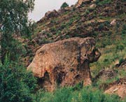 福海天气预报30天