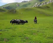 甘南州天气预报15天