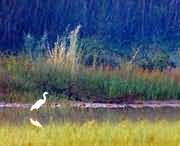 孟津天气预报7天