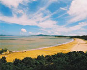 普陀天气预报40天