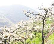 五河天气预报60天