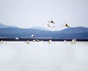 东至天气预报30天