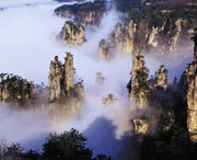 张家界天气预报40天