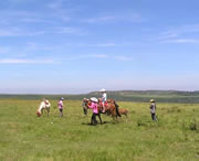 龙里天气预报60天