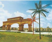 阳江天气预报60天