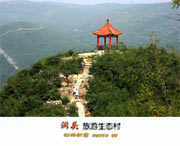 洞头后天天气
